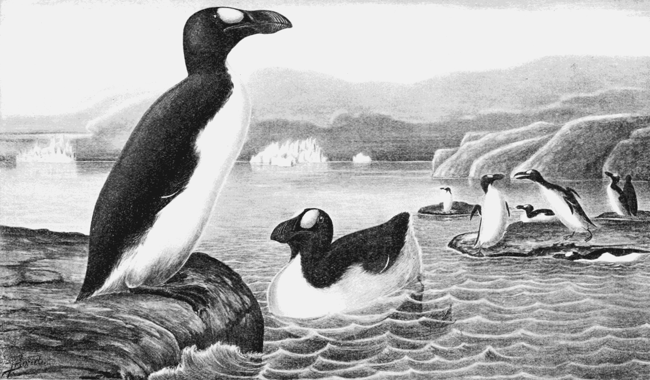 Folklore Thursday: The Boobrie
