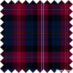 evans tartan tie