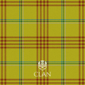 XWORE / TARTAN YELLOW PLAID ZIP HOODIE